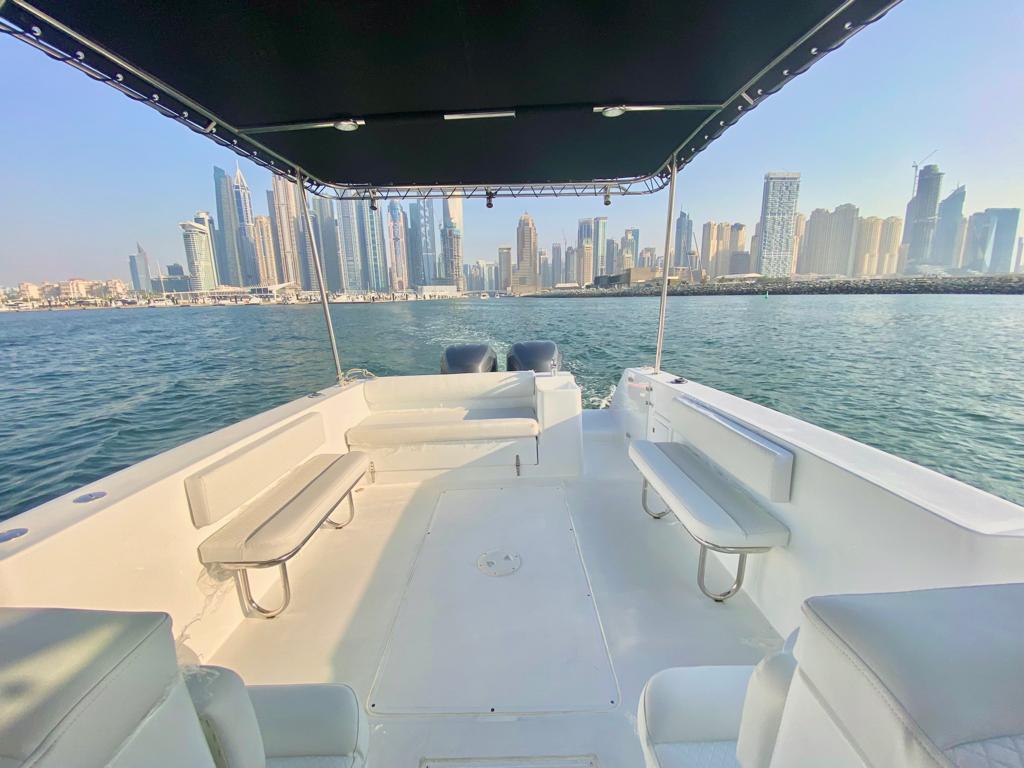 Walkaround 31ft Fishing
