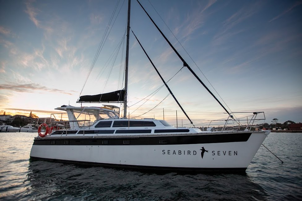 Sea Bird Seven