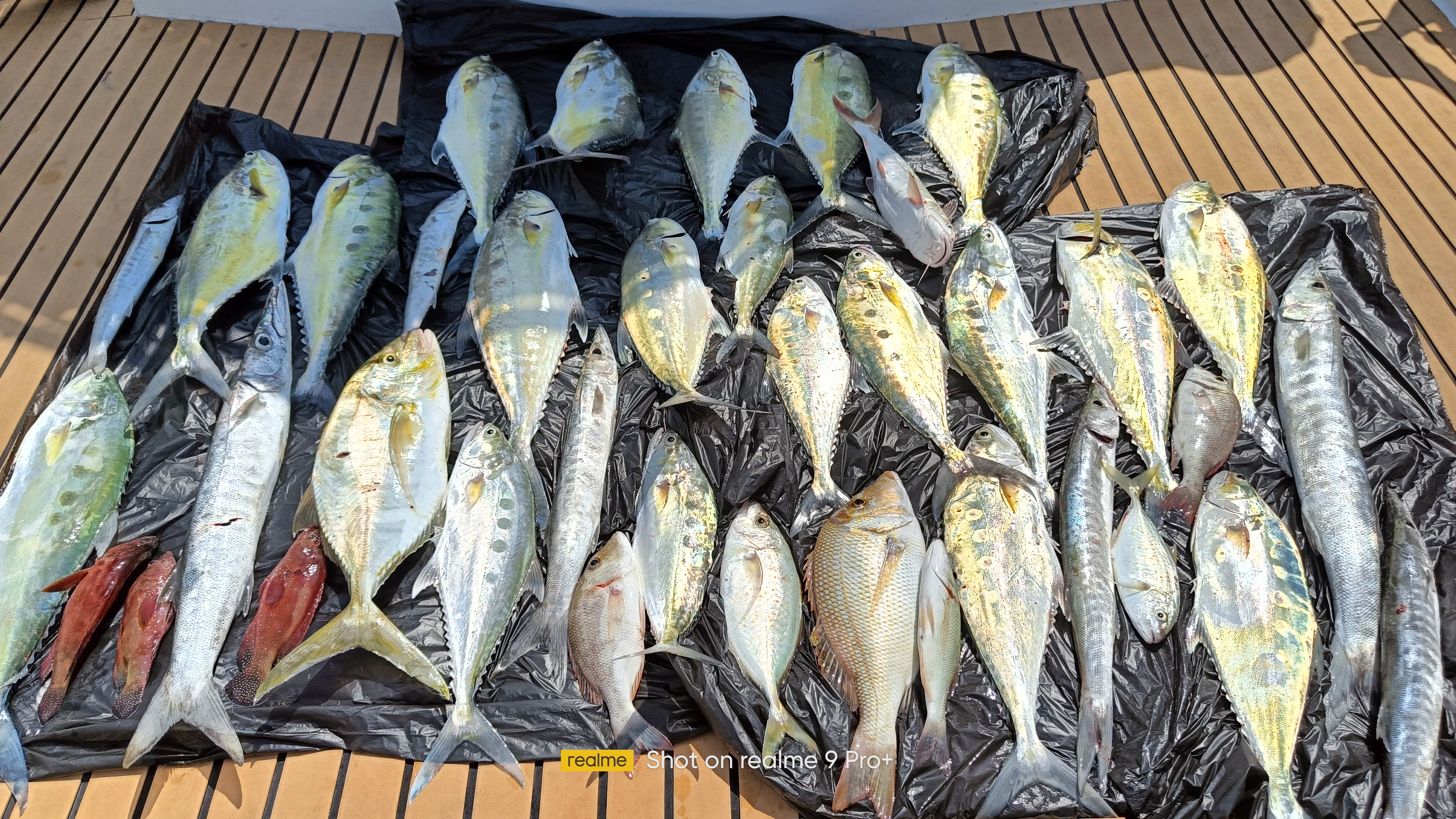 Deep Sea fishing (4 hrs) for 10 pax.