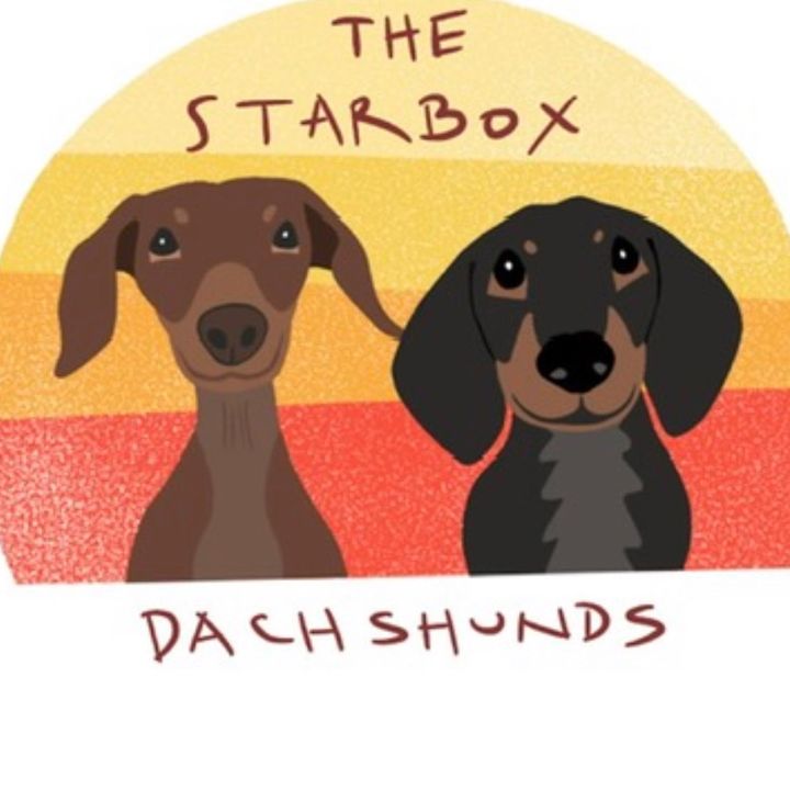 Moonpie Starbox