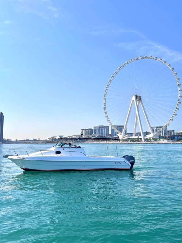 31ft Elite (Elite Pearl)